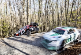 WRC Croatia Rally: Pogledajte kako je Oliver Solberg izletio sa staze