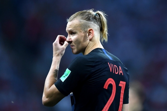 Domagoj Vida